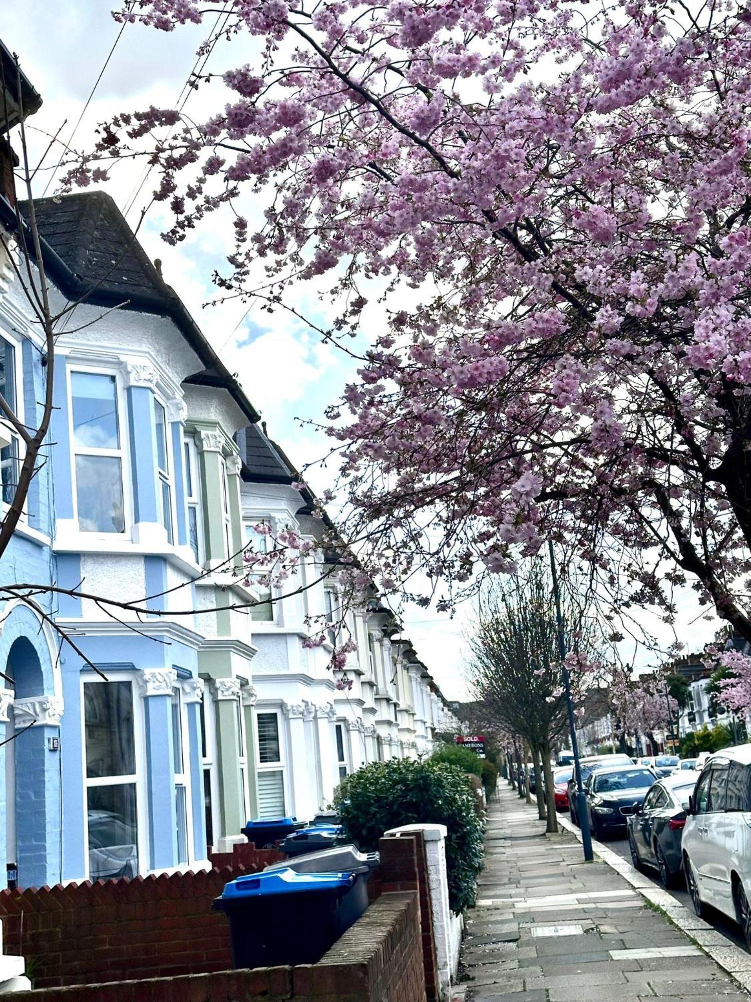 Charming, Renovated Residence In Willesden Green London Bagian luar foto